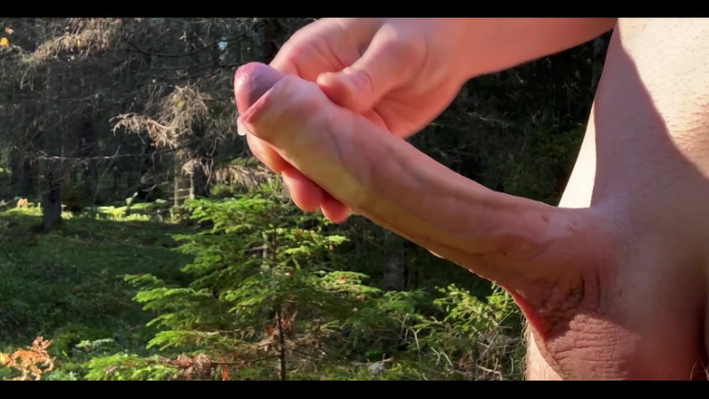 JohannWood: Rychle v lese, přesně to, co jsem potřeboval