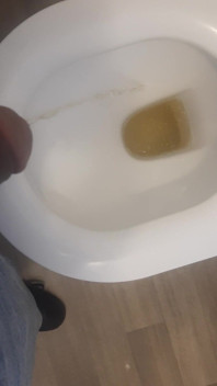 Pissing in Womens Toilet