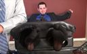 Princess Nikki's Gay Tickle and Handjob Club: Hot American Dude Is Tickled to Heaven - Pure Gay Tickle...