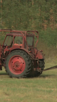 Anal Farm Girls Vol 2