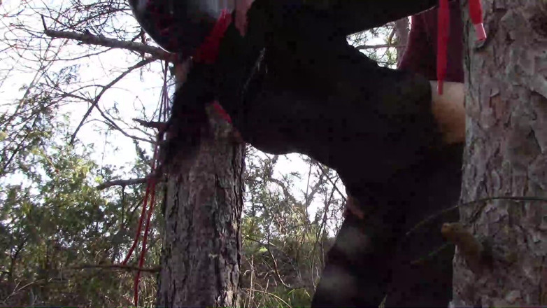 LauraOnHeels: Sexe en plein air dans le bois. Portant des vêtements...