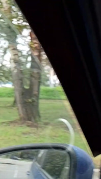 Ben Bir Rus Orospuyum, Kamusal Bir Otoparkta Arabada Üstü Çıplak Oral Seks Yapıyorum!