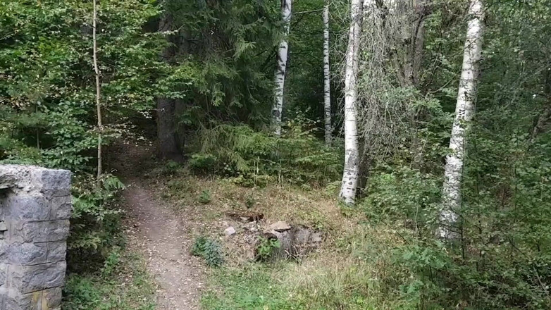 Tiny Teena: Лісовий мінет і трах