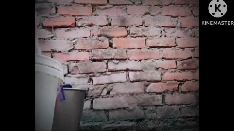 TricolorMusic3: 热辣美丽的性感女孩用水洗她的阴户