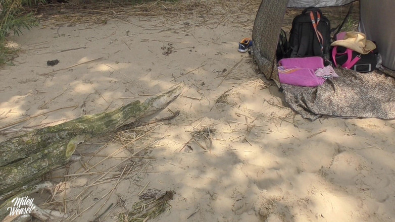 Miley Weasel: ああ違います！！カメラマンが私のマンコにすべてを射精します!!