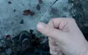 Stiansr: Masturbation in the Forest