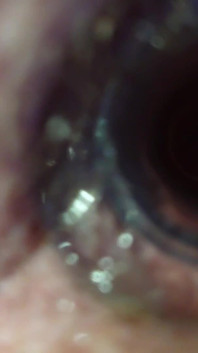My Hot Asshole