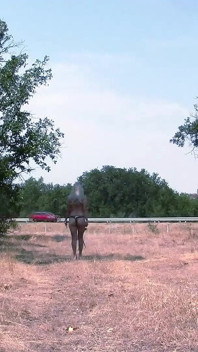 Slave Walks Around in a Chastity Belt and Double Penetrates the Highway