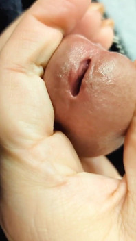 Kompilasi ejakulasi sperma dan sperma