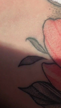 Oralsex Mit Pussy Fick in Hundestellung