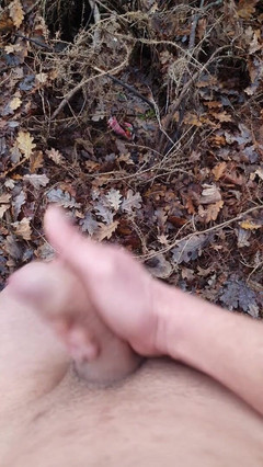 Timmyboy: TimmyBoy Saya Pergi Untuk Berlari Di Dalam Hutan Dan Saya...