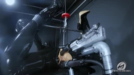 Çoklu orgazm komşu