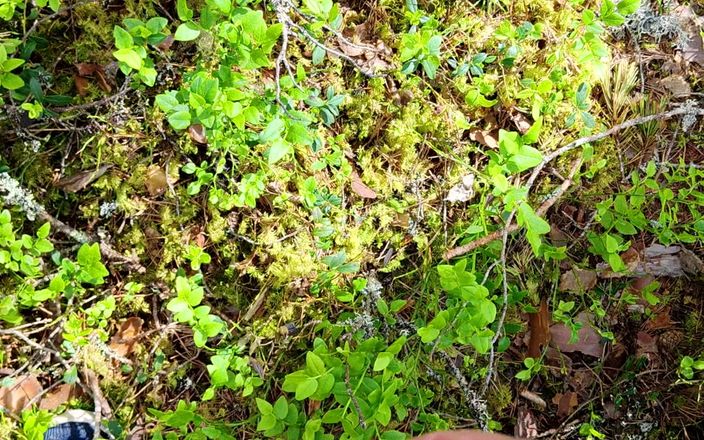 Stiansr: Kåt i skogen