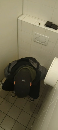 A Video From a Beautiful Day in the Toilet