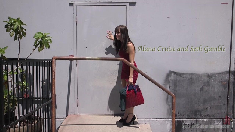 Sex and Submission by Kink: Family Values