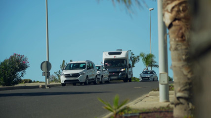 Jet sex prod: Een Groep van Franse Parthouze in de natuur