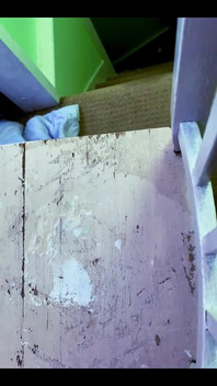 Check Out the Mess I Had to Clean up After My Last Video