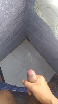 Con cu của tôi
