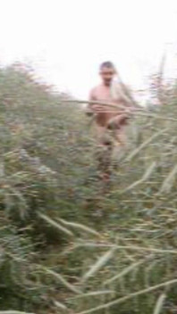 Old Clip 1