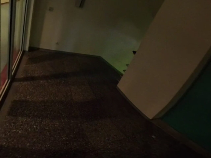 Sissy Adventures VR: Plimbare cu văcuța însărcinată
