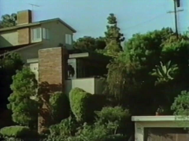 Tribal Male Retro 1970s Gay Films: 粗暴性爱 第3部分