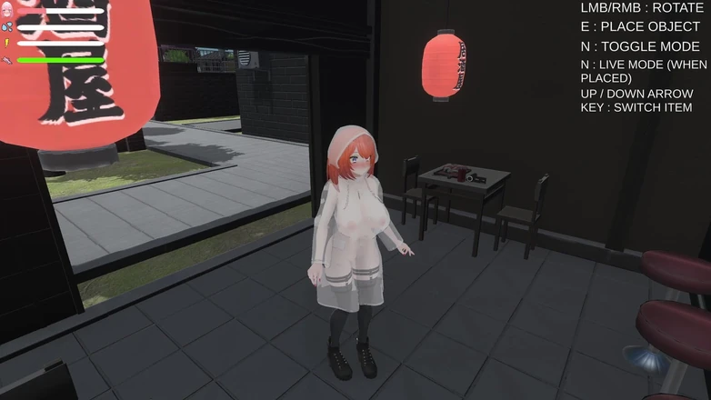 PornGameHunter: Complete Gameplay - Roxannes Exhibitionist, Part 1