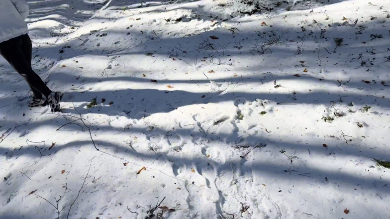 Spacenintenda: Freeze Time Woods Creepy Neighbor Freezes Cute Jogger
