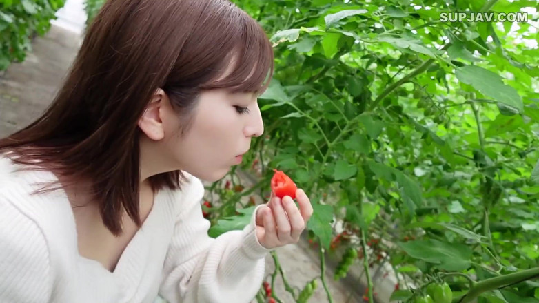 Studio Modern Shunga - JAV: Asian angel 7402
