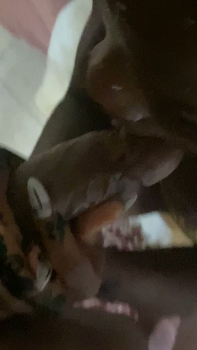 Teen Gives Sloppy Blowjob (DivaHouz)
