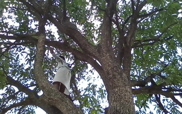 HotboyIndian: Mango Tree и паренек!