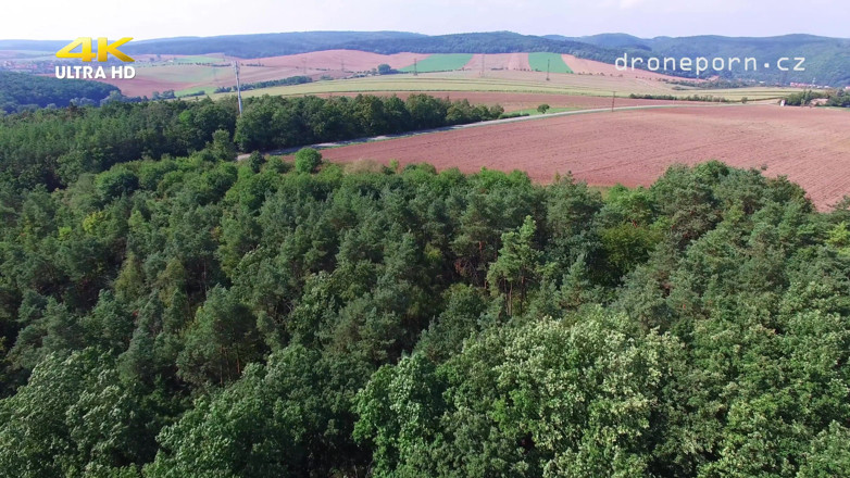 Peaches and Bananas: Ragazza nudista si masturba. Riprese con un drone
