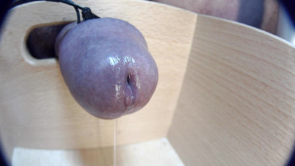 Gaylectrician: Close up cumshot 21-11-12