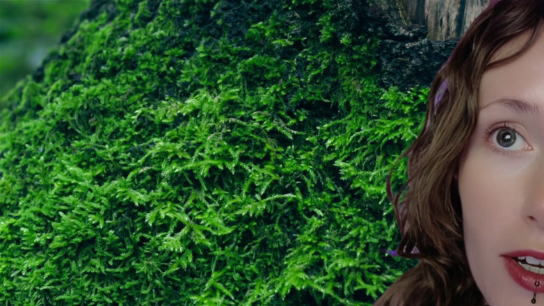 Goddess Transcendence: Adorazione dei capelli dea naturale dominazione