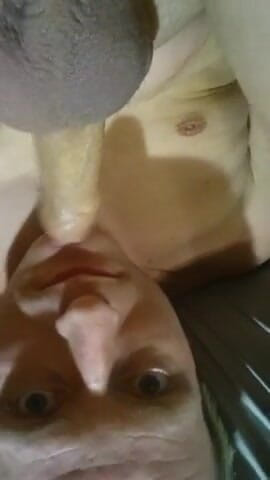 Lov2selfsuck: Den bästa orgasmen med varje droppe sperma i munnen