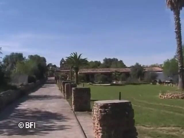 Amazing asses and pussies: Mallorca