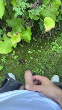 Golden Stream: Peeing in Paradise