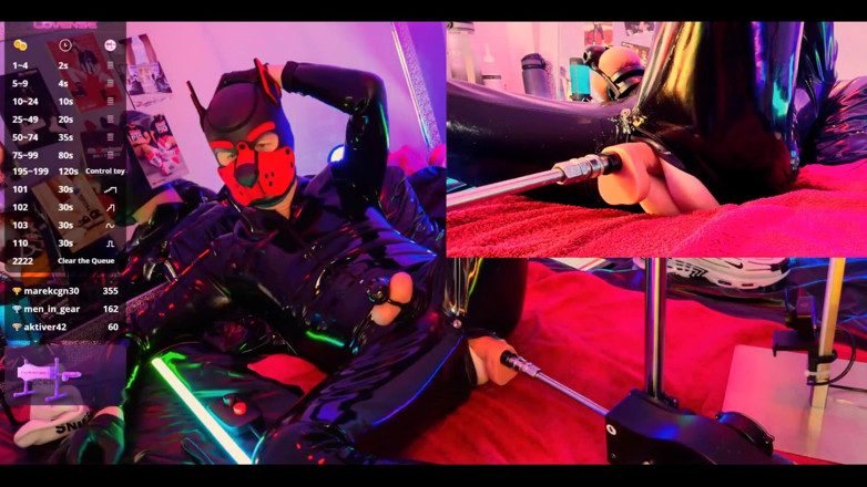 Roman Heart: Nicolaus Rubber Show with Pet Mask