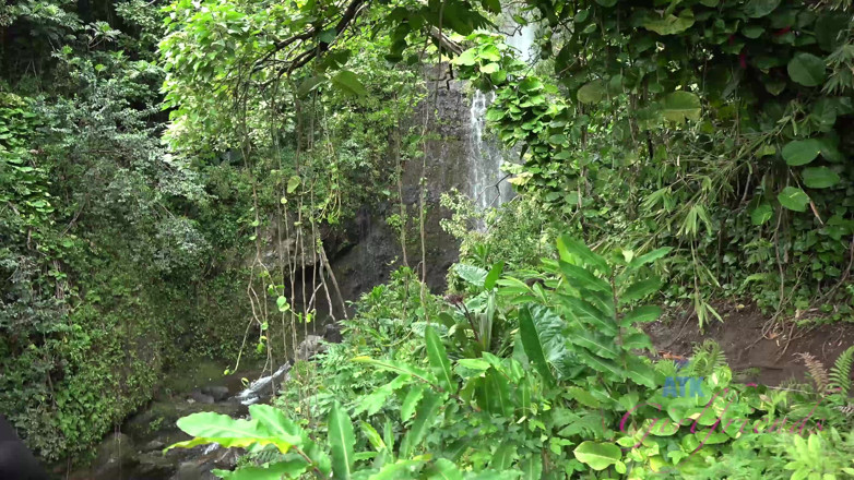 ATK Fans (Girlfriends): Virtual vacation in Hawaii with Adrian Maya part 5