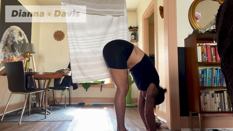 Dianna Davis: Speed Yoga
