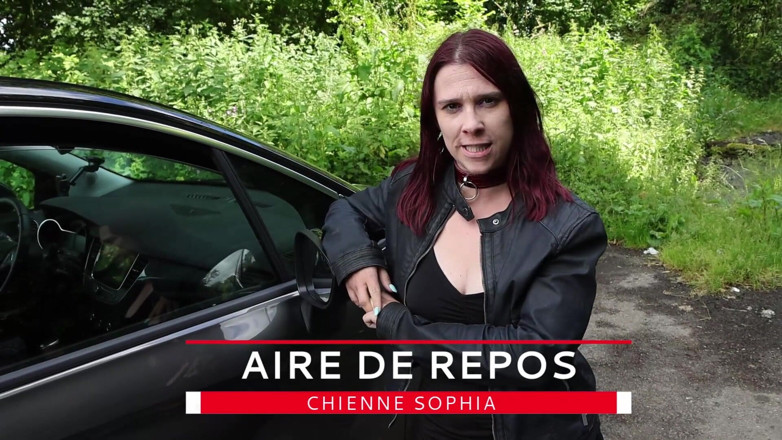 chienne sophia: Šukám cizince v lese