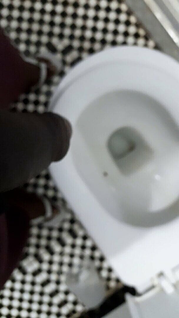 Bumba: Kissa BBC söt hård kissa mun du