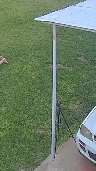 My Neighbor Caught on Camera Sucking an Older Man