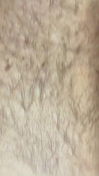 Muscle Cub Fucks His Bears