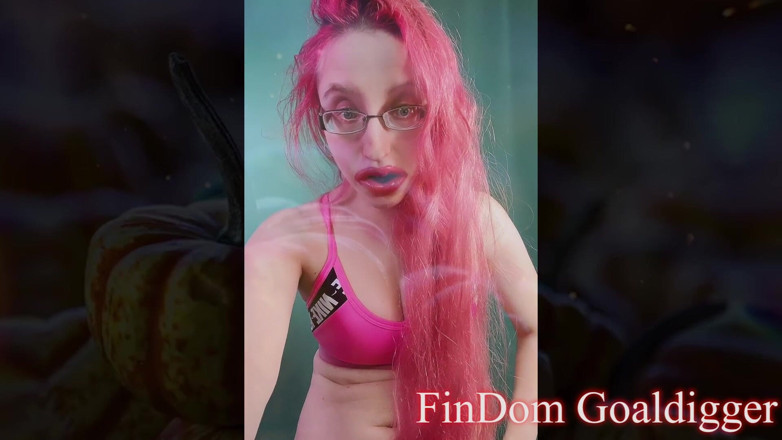 FinDom Goaldigger: Sexy slut Girl Transformation in LA