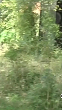 2353 ragazzo grasso scopata crudo in sospensore da Vitkror Om