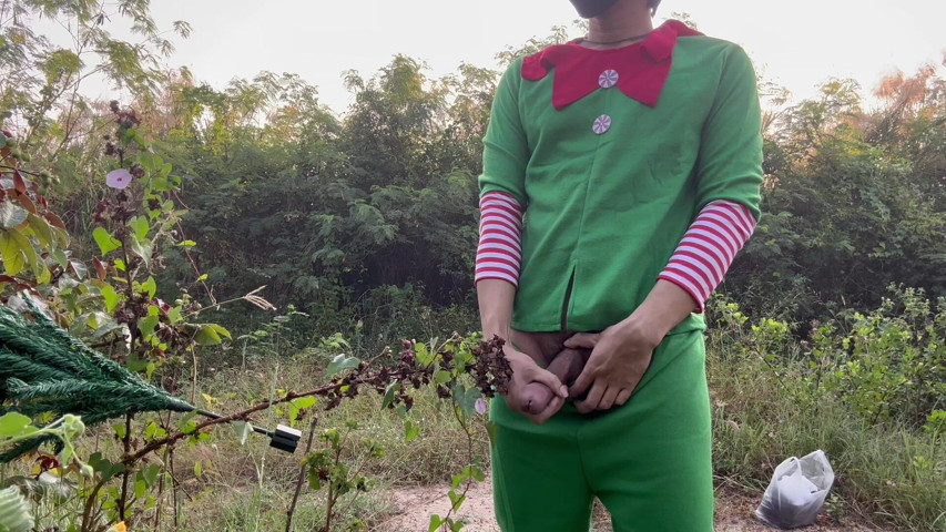 Santa Require to Find Christmas Tree. (SinglePlayerBKK)