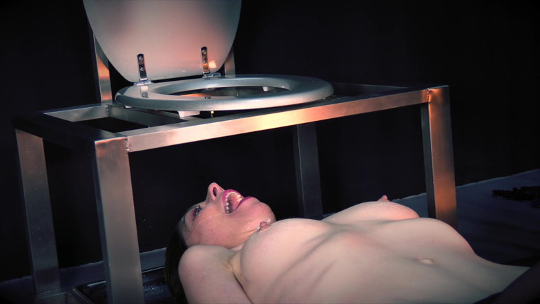 Lacey Starr productions: The Alice Experience