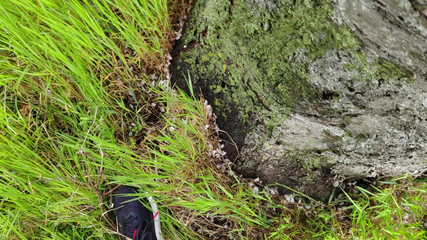 Bayer911: Koláč od dubu