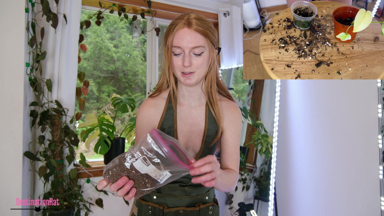Destination Kat: Zahradničení s Kat- repotting Monsteras Sfw