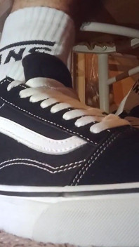 Sapatos novos vans